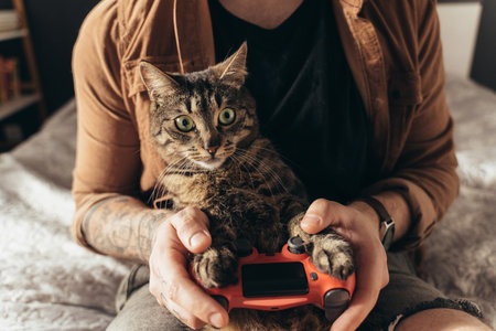 Striped cat looking away and holding his paws at the gamepadの写真素材