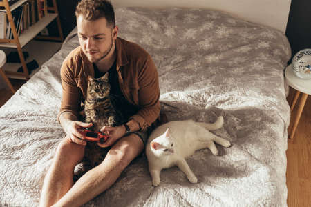 Man spending time with his cats at the cozy home atmosphere while playing
