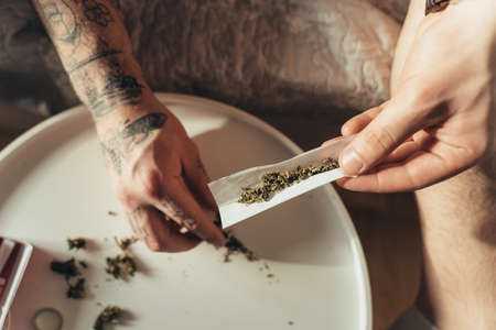 Man putting marijuana at special paper while the rolling a hand rolled cigaretteの写真素材