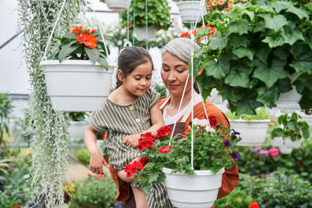 Woman holding at the hands her brunette little granddaughterの写真素材