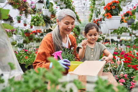 Kid and her grey haired grandparent doing garden work together at the greenhouse