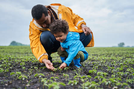 Boy wearing raincoat sitting at the knees at the field and touching little sprouts of the plantsの写真素材