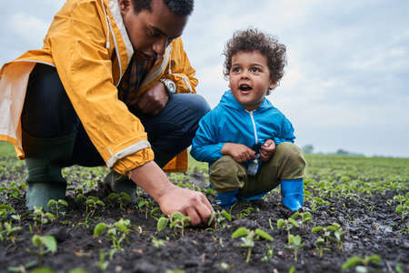 Father kneeling near his little son and showing to him green sprout while walking