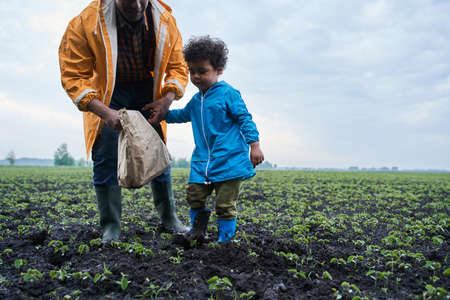 Man and his little son wearing raincoats cleaning field while picking up paper bagsの写真素材