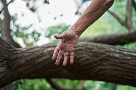 Sinewy hand of the mature man with the tree trunk backgroundの写真素材
