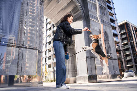 Girl walking with her dogの写真素材