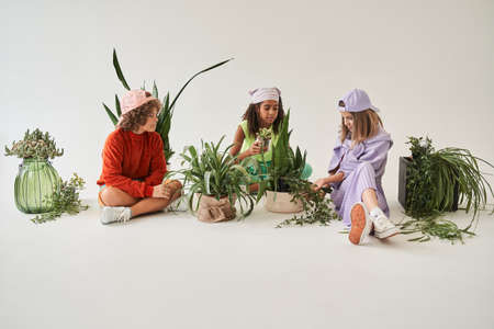 Multiracial friends studying green plants in potsの写真素材