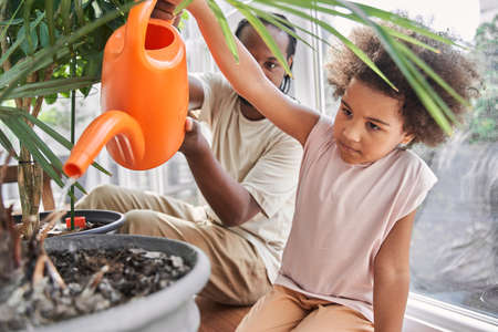 Child girl sitting around the flowers at the balcony and chatting with her fatherの写真素材