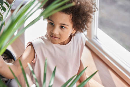 Multiracial girl looking with interest at the flower at the pot while playingの写真素材