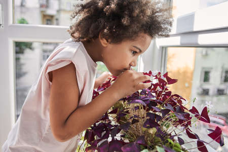 Girl smells a flowers while enjoying of her childhood at the balcony during the sunny dayの写真素材