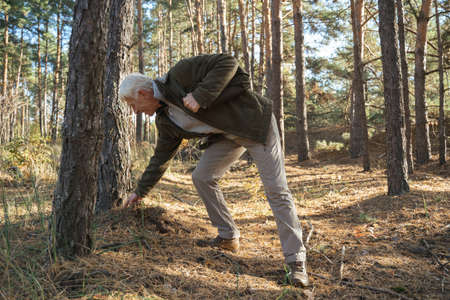 Mature man walking around the trees at the fresh forest without peopleの写真素材