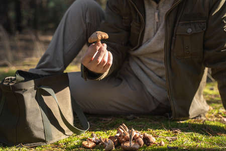 Senior man wearing warm clothes holding at the hands fresh mushroom