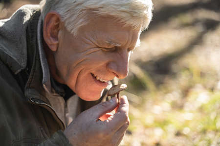 Mature man holding mushroom and sniffing it in the forest at the autumn dayの写真素材