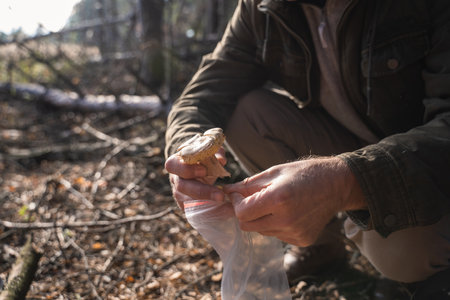Mushroom picker cutting mushroom and putting it at the plastic bagの写真素材