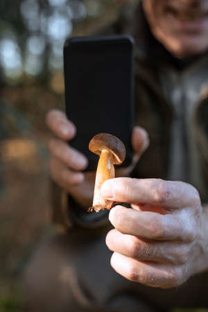 Caucasian retirement man holding mushroom and shooting it at his smartphoneの写真素材
