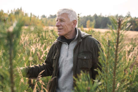 Mature male tourist looking away with pleasure smile while walkingの写真素材