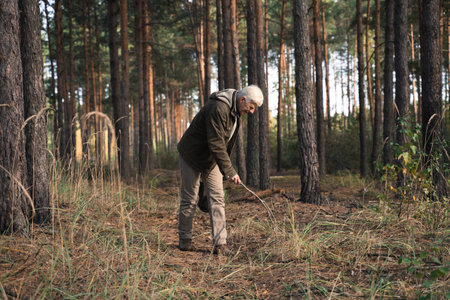 Mature man hiking at the forest with branch at the handsの写真素材