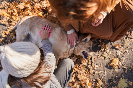 Careful mother and daughter taking care of the fur of their dog with special brushの写真素材