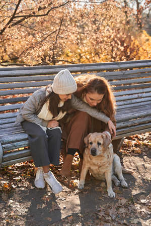 Teen girl stroking her labrador dog while sitting at the bench with her motherの写真素材