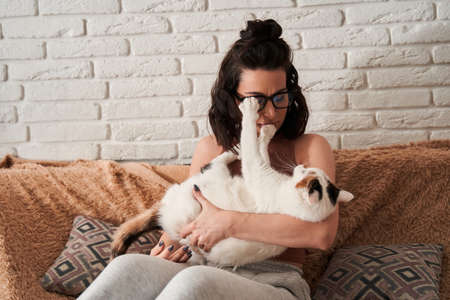 Brunette friendly woman holding at the hands and playing with tenderness with her white catの写真素材