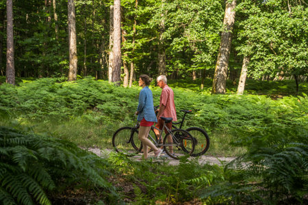 Happy senior father walking with his daughter carrying bicycles through the pathの写真素材