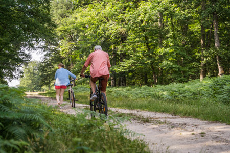 Back view of happy father and daughter riding bicycle outdoors at summerの写真素材