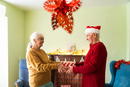 Happy old couple at homeの写真素材