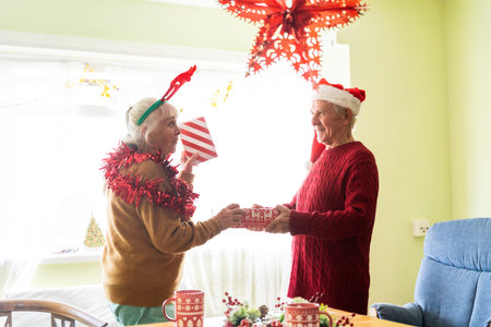 Happy old couple at homeの写真素材