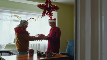 Festive elderly couple exchanging gifts enjoying Christmas presentsの写真素材