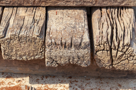 pile of old wood logsの写真素材