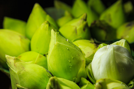 folded lotus flowers , gift to Buddhist monksの写真素材