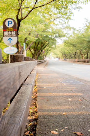 Lonely rural road in daylight timeの写真素材