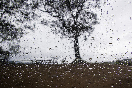 Fall backgroundの写真素材