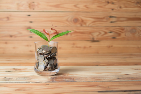 Plant Growing In Savings Coins - Saving money conceptの写真素材