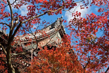 Fall leaves in front of temple roof peak.