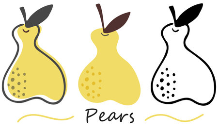Vector set pear. Hand-drawn design. Fruits on white backgroundのイラスト素材