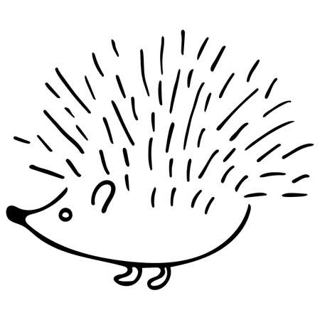 Hedgehog isolated on white background. Vector hand-drawn doodle illustration.のイラスト素材