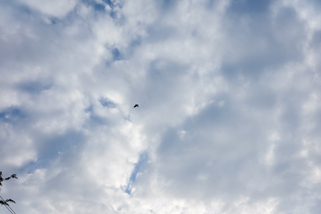 Many clouds bright lightの写真素材