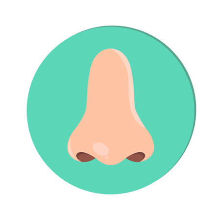 Flat Human Nose Nostril Icon Isolated Cartoon Illustrationのイラスト素材