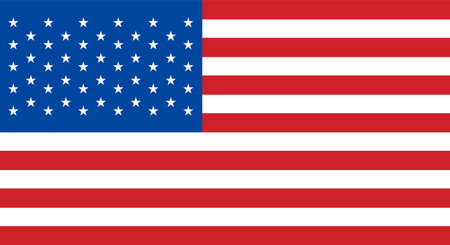 USA Flag America Sign Vector Icon Illustrationのイラスト素材