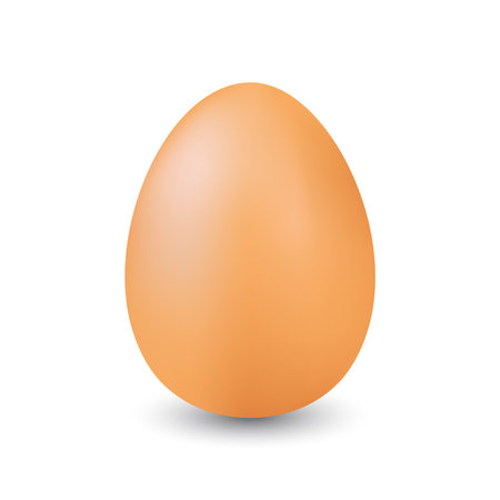 Realistic Isolated Whole Egg Fresh Healthy Meal Vector Illustrationのイラスト素材