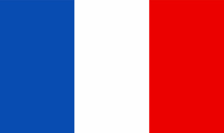 France Flag Isolated Vector Illustrationのイラスト素材