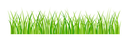 Green Grass Fresh Decorative Vector Illustrationのイラスト素材