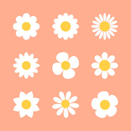 Cute daisy chamomile flower icon set in different style on orange background, vector illustrationのイラスト素材