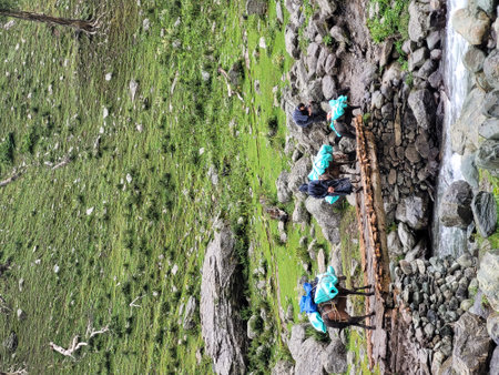 Aerial view of people walking in the village