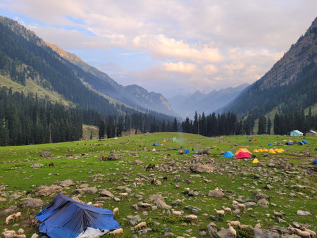 Camping in the mountains, Kackar Mountains, Kyrgyzstanの写真素材