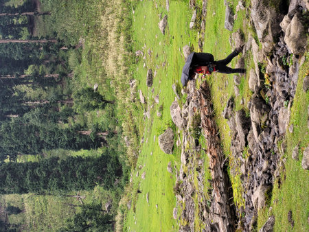 Climber hanging from a cliff in the middle of the fieldの写真素材