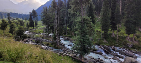 Panoramic view of the mountain river in the Himalayasの写真素材