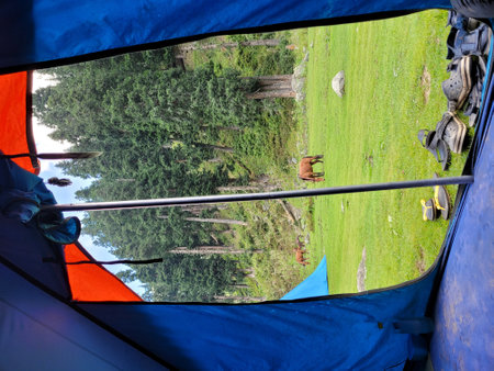 Camping tent on the lake in the mountains. View from insideの写真素材