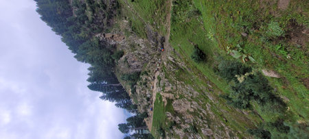 Aerial view of a mountain trail in a forestの写真素材